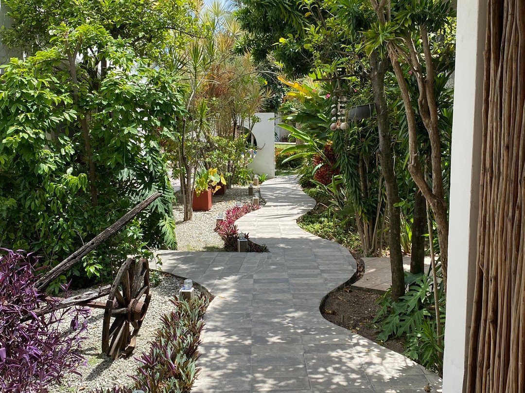 Bed & Breakfast Villa Escondida Cozumel主图