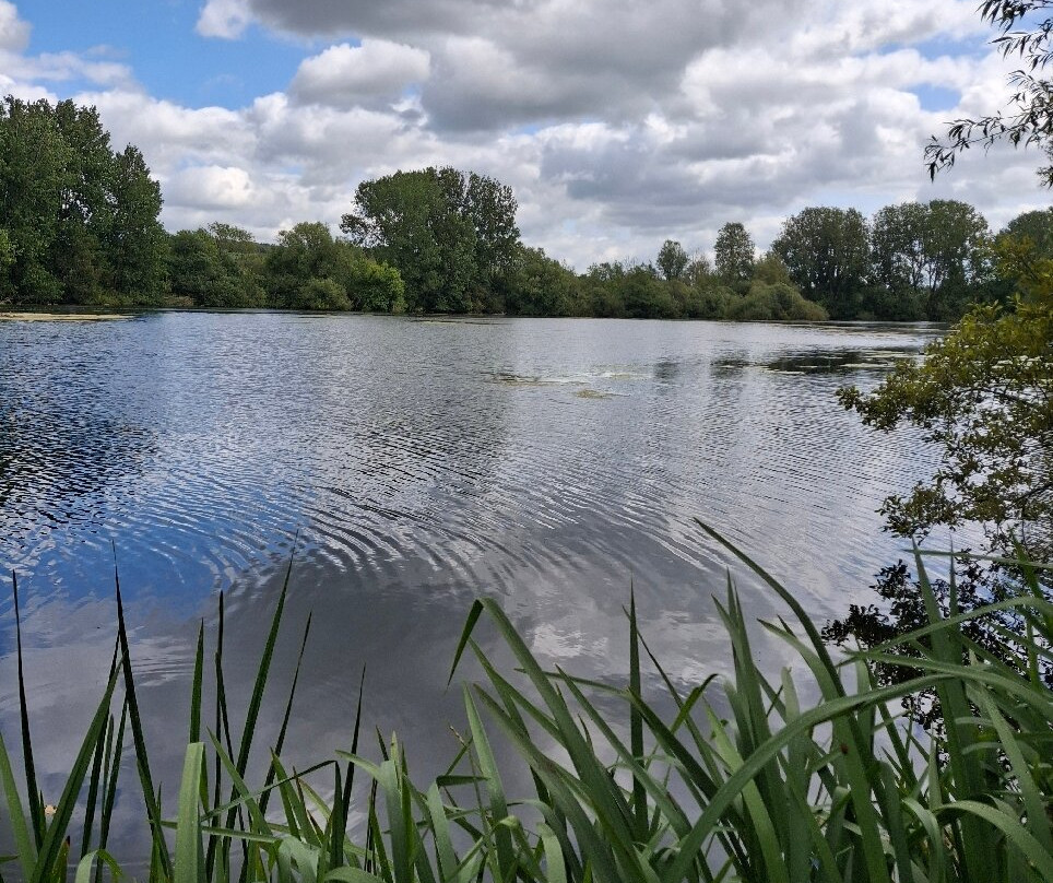 Langford Lakes Nature Reserve-Steeple Langford必去景点