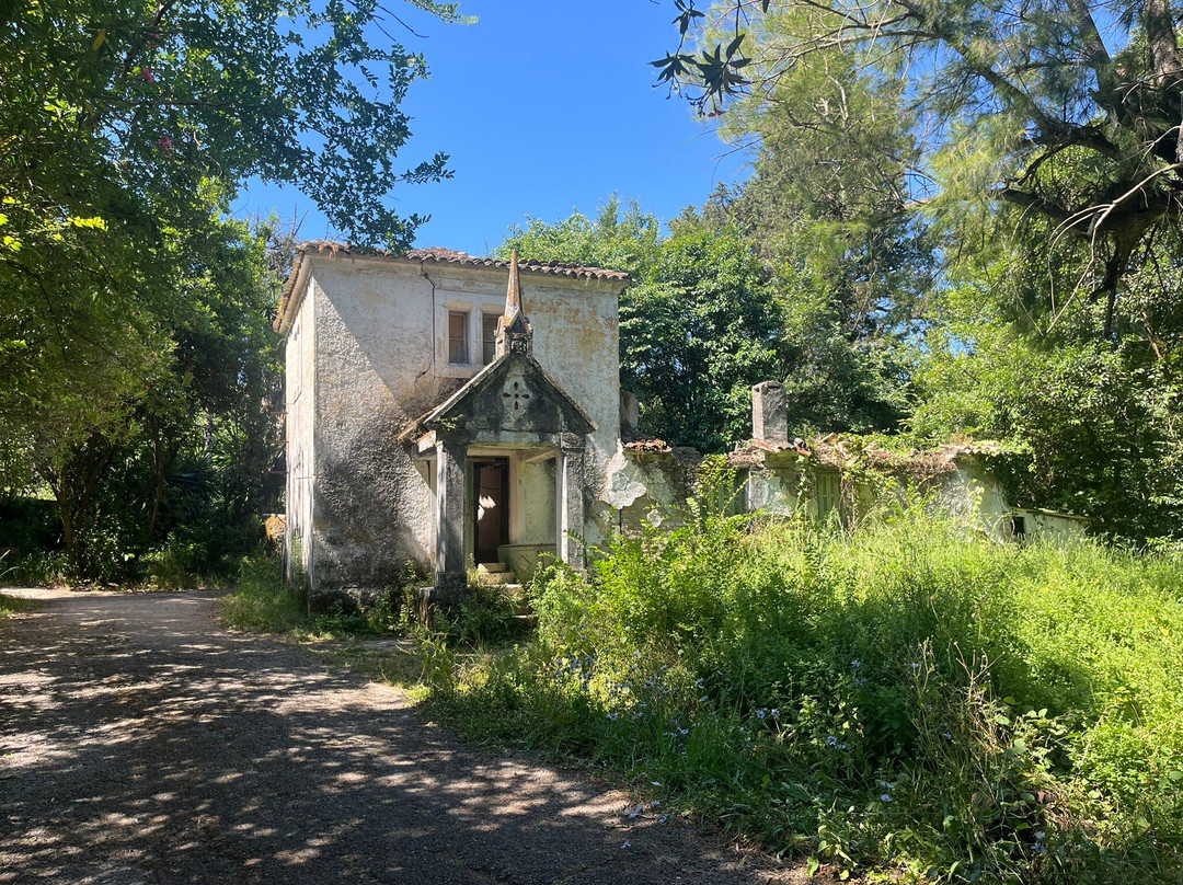 Mon Repos Palace-科孚市必去景点