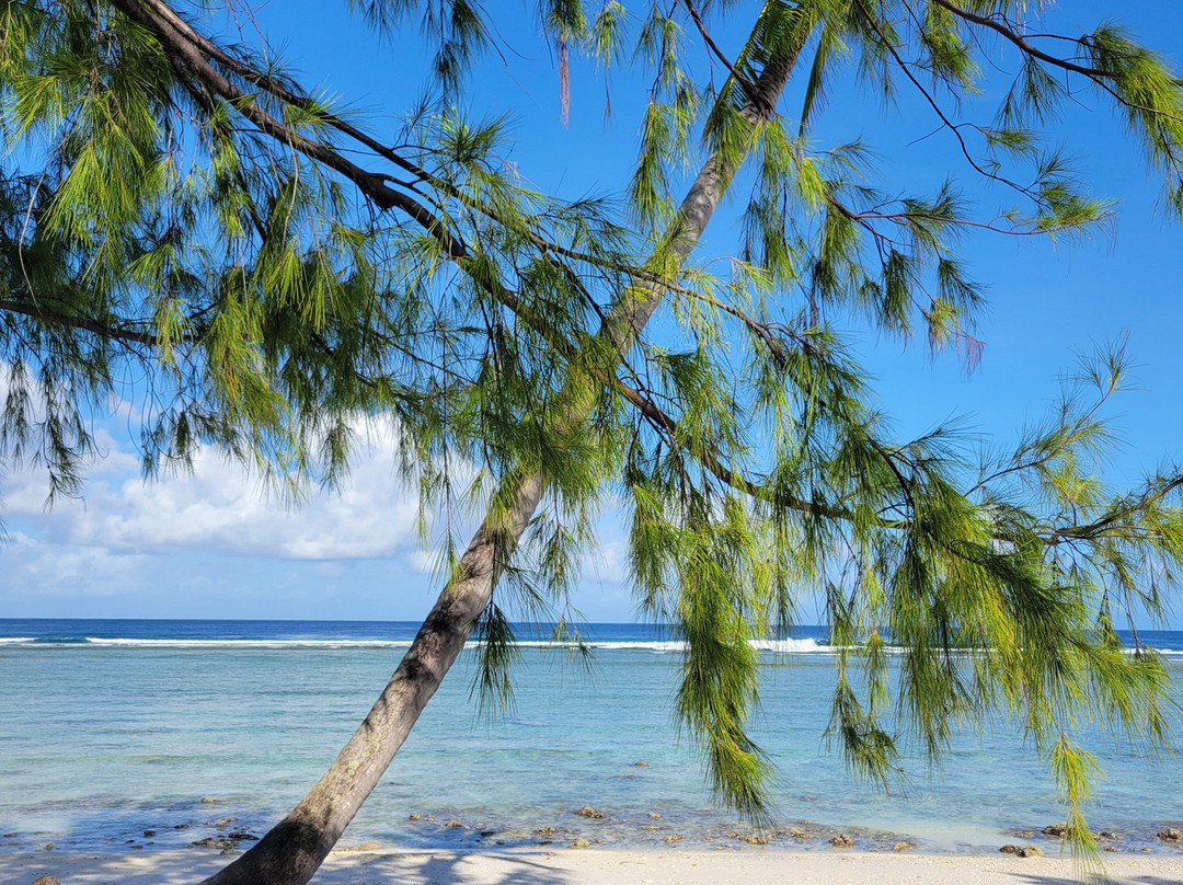 The Breakers Cocos主图