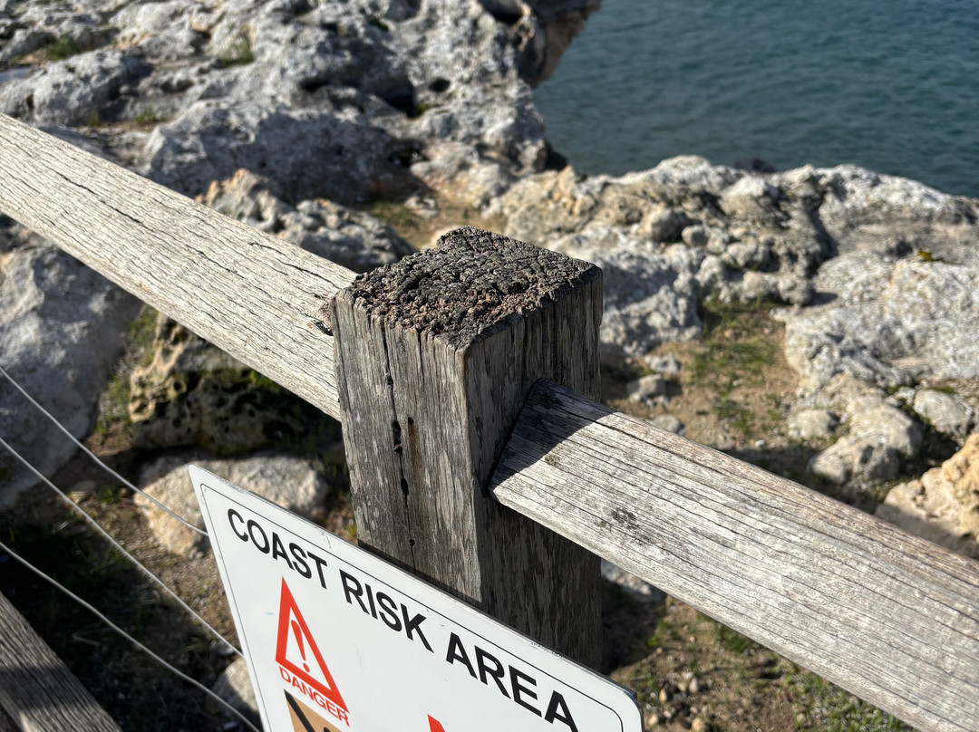Rottnest Island Visitor Centre景点图片