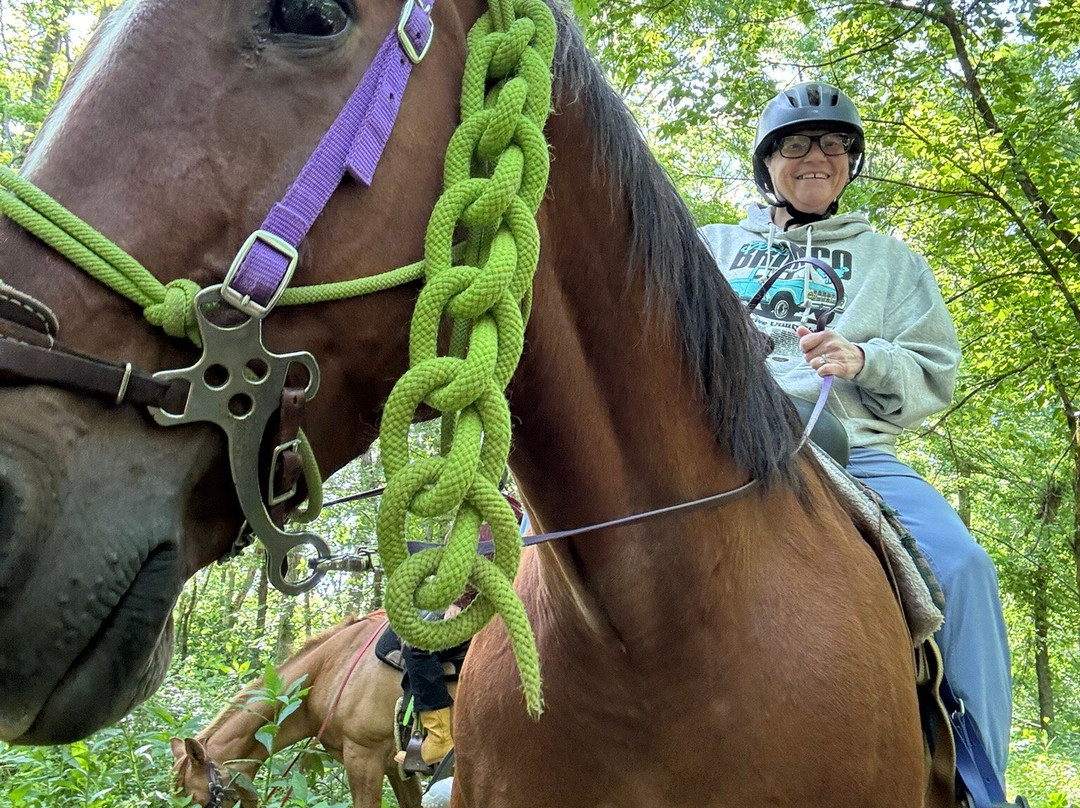 Red Fern Riding Center-Simpsonville必去景点