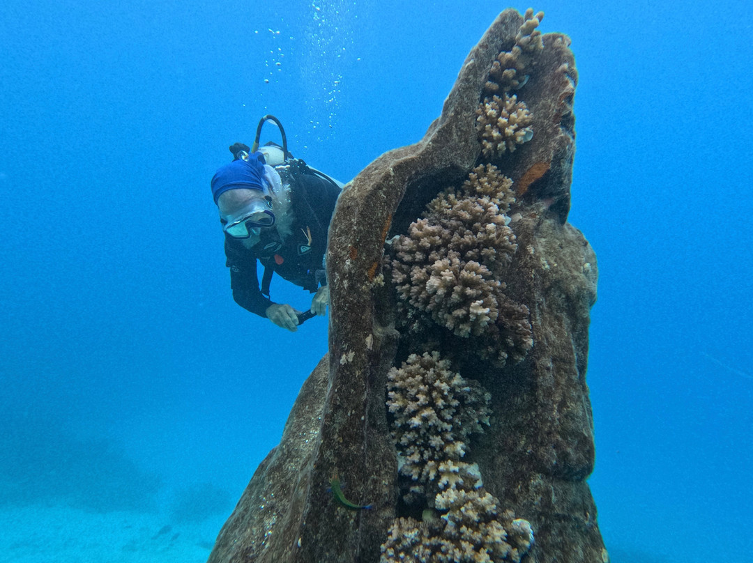 Museum of Underwater Art-North Ward必去景点