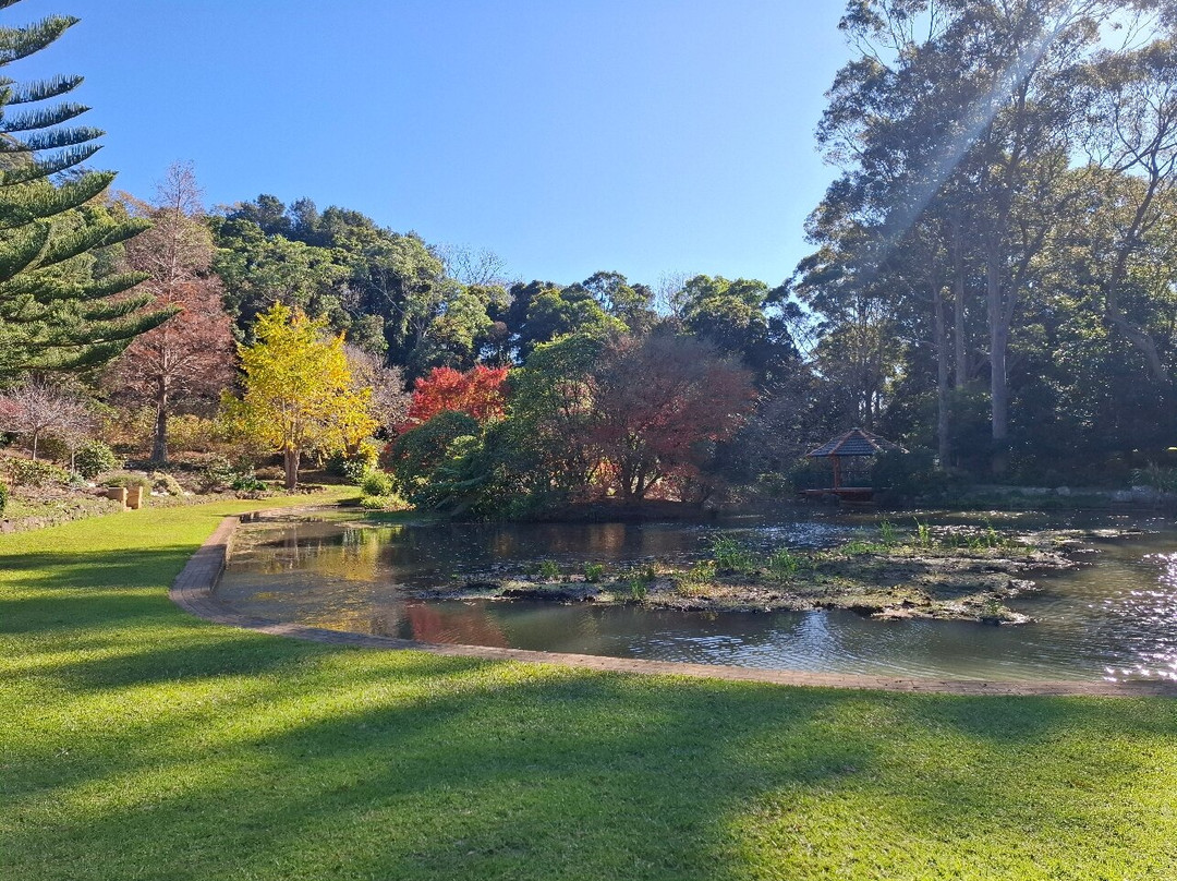 Illawarra Rhododendron And Rainforest Gardens-Mount Keira必去景点