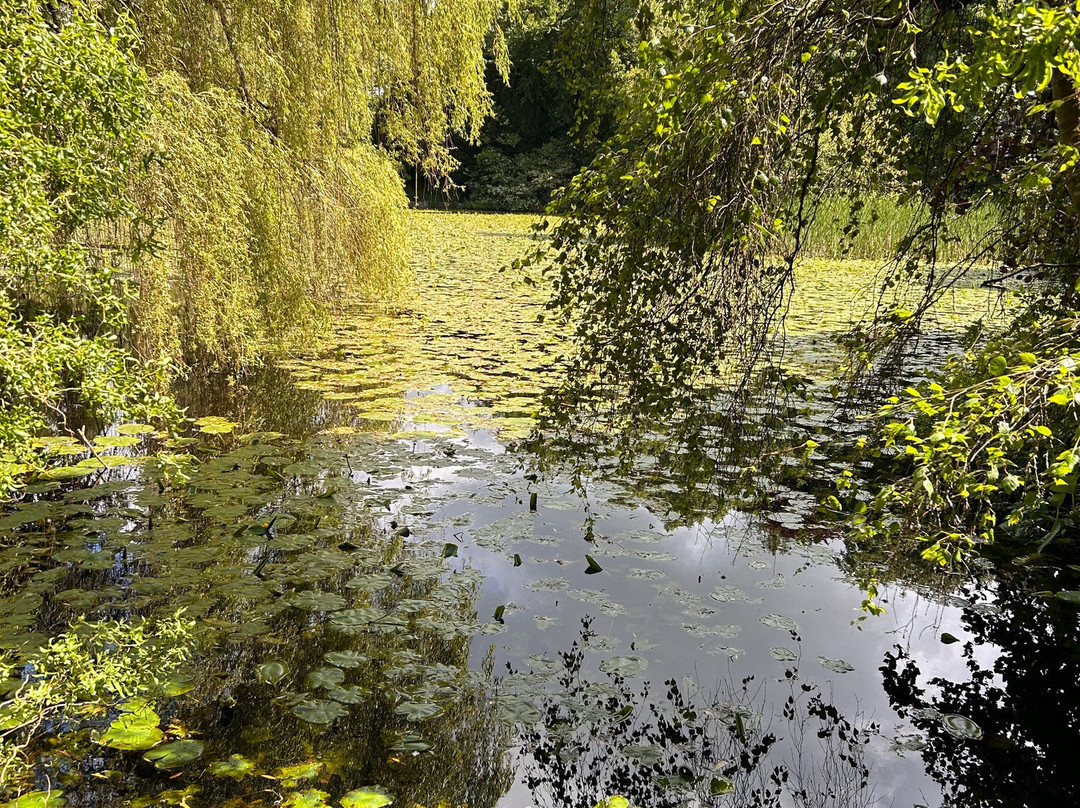 Altamont Gardens-Tullow必去景点