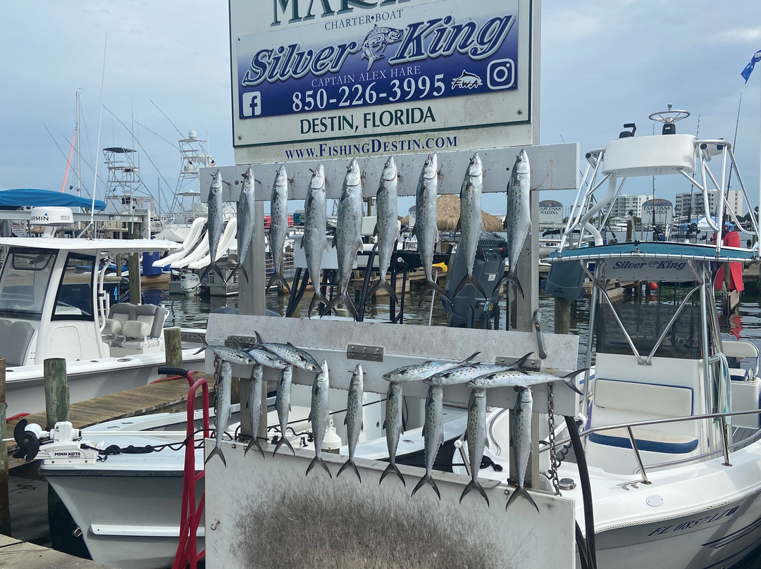 Silver King Charters of Destin景点图片