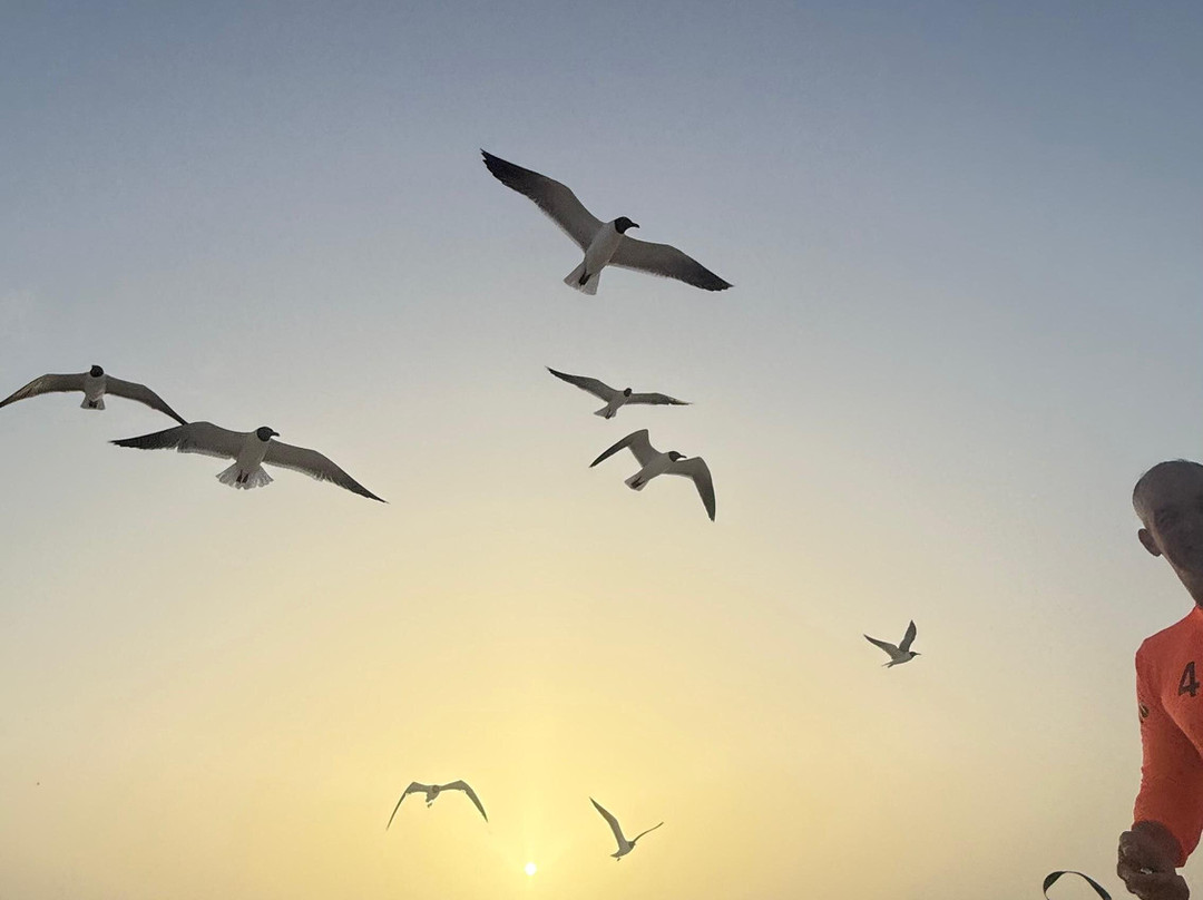 Boca Grandi-San Nicolas必去景点