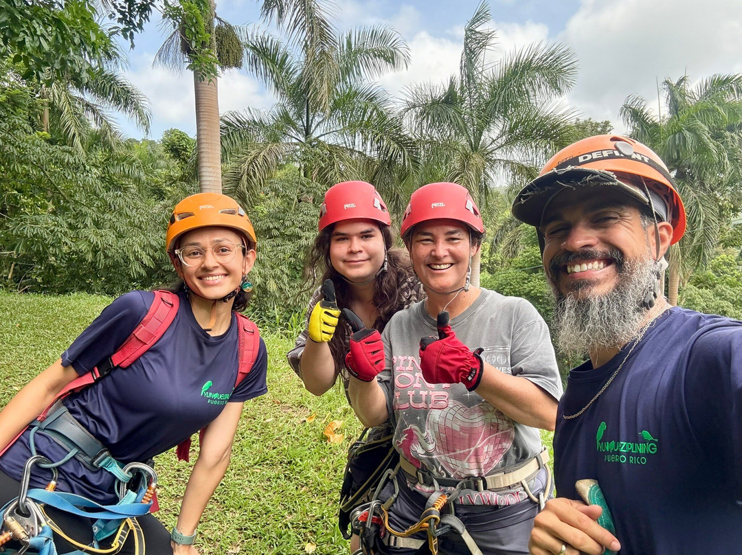 Yunque Ziplining-Luquillo必去景点