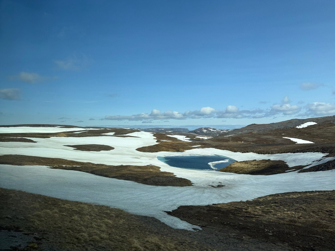 North Cape Tours景点图片
