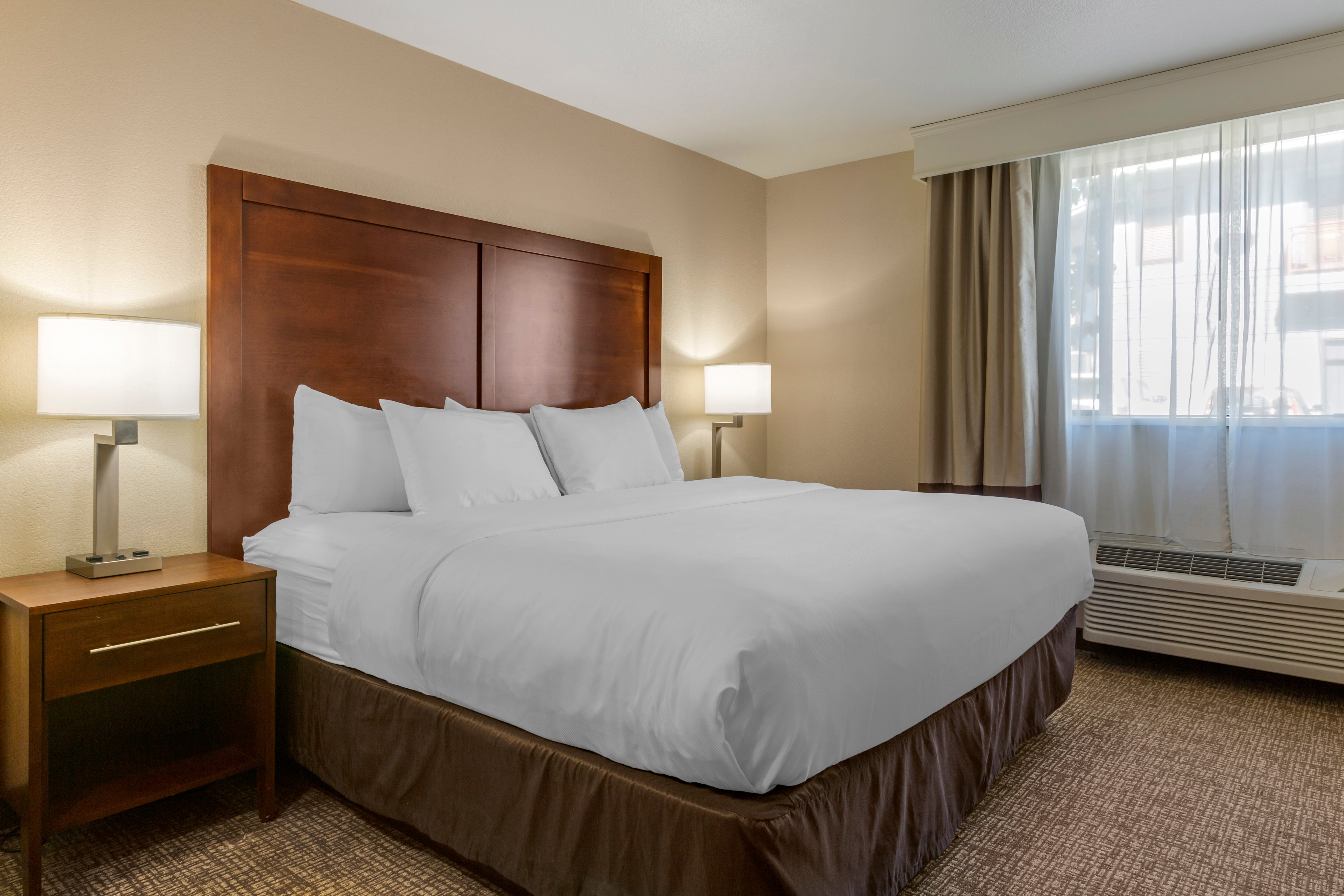 Comfort Inn & Suites I-90 City Center-客卧