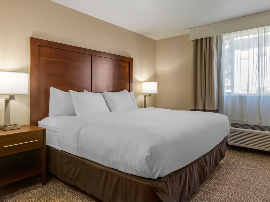 Comfort Inn & Suites I-90 City Center主图