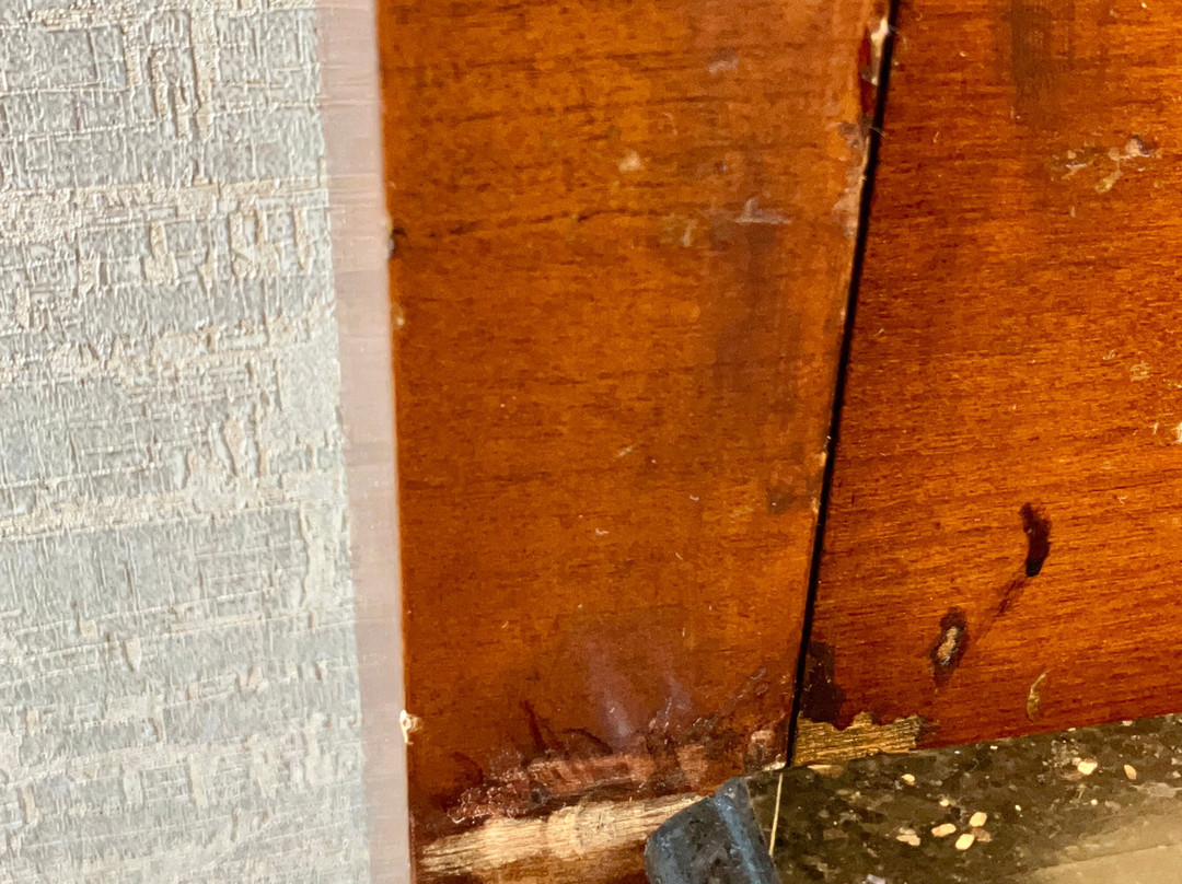 罗彻斯特机场万豪酒店主图