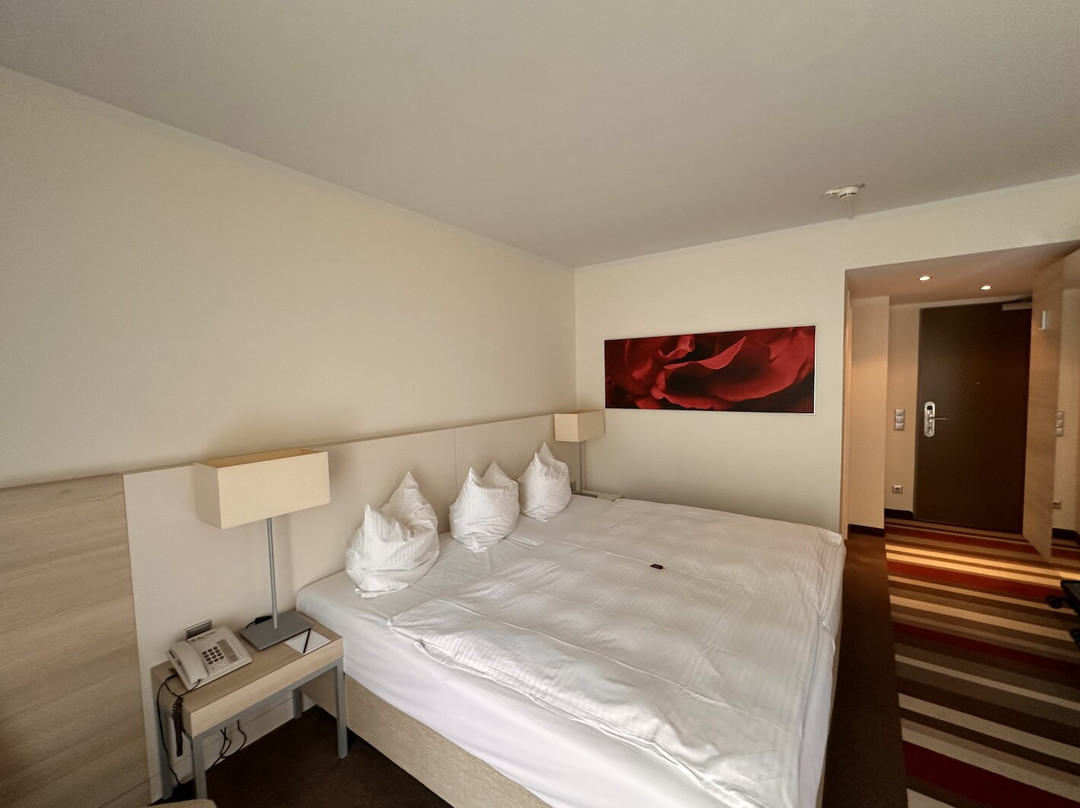 H+ Hotel Bad Soden主图