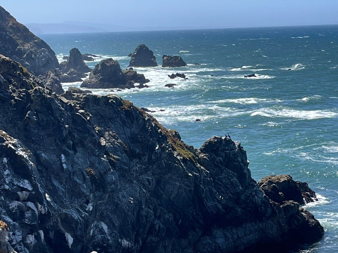 Bodega Head-博德加湾必去景点