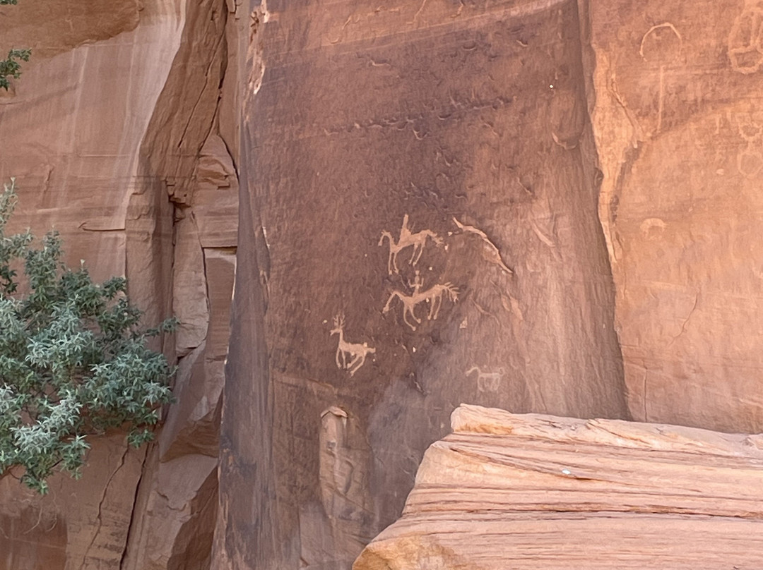 Thunderbird Lodge Tours-Chinle必去景点