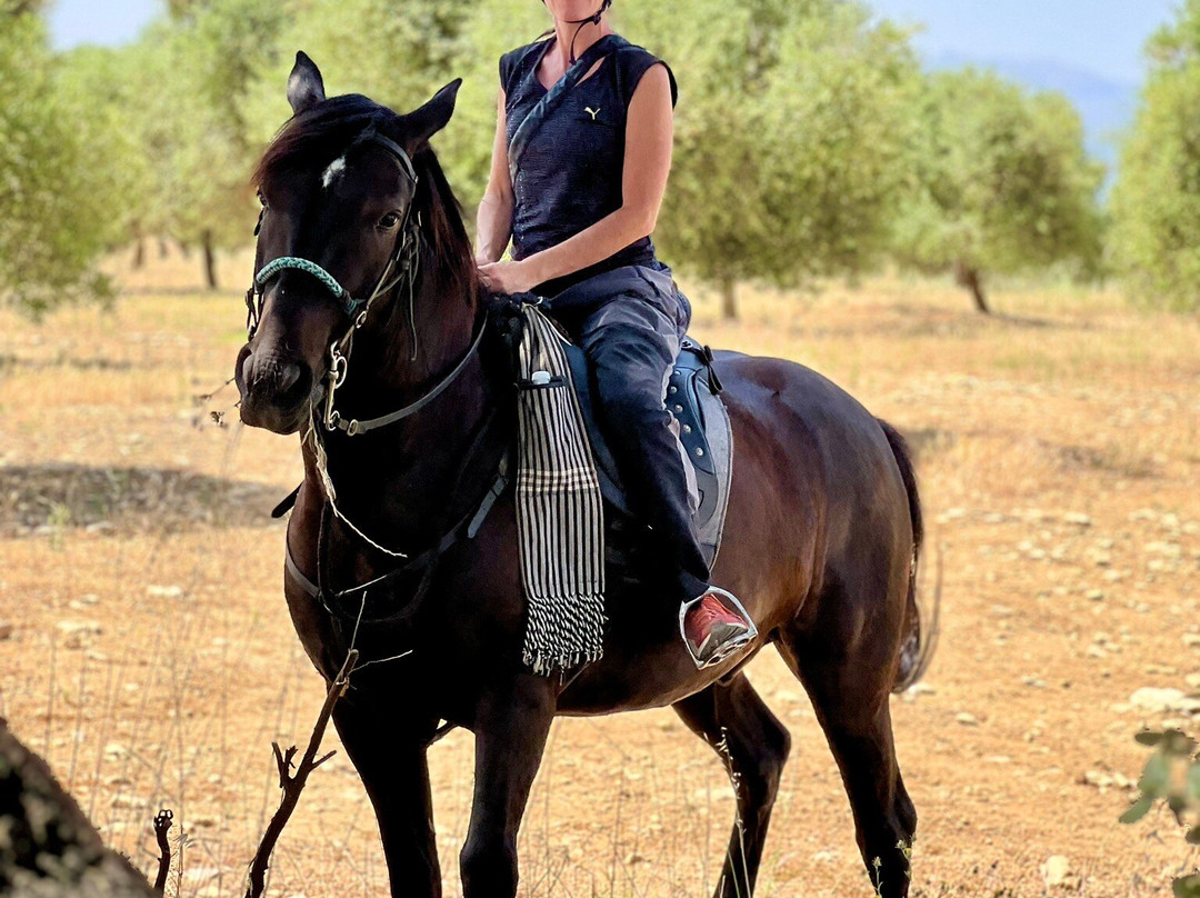 Caballos y Vino-隆达必去景点