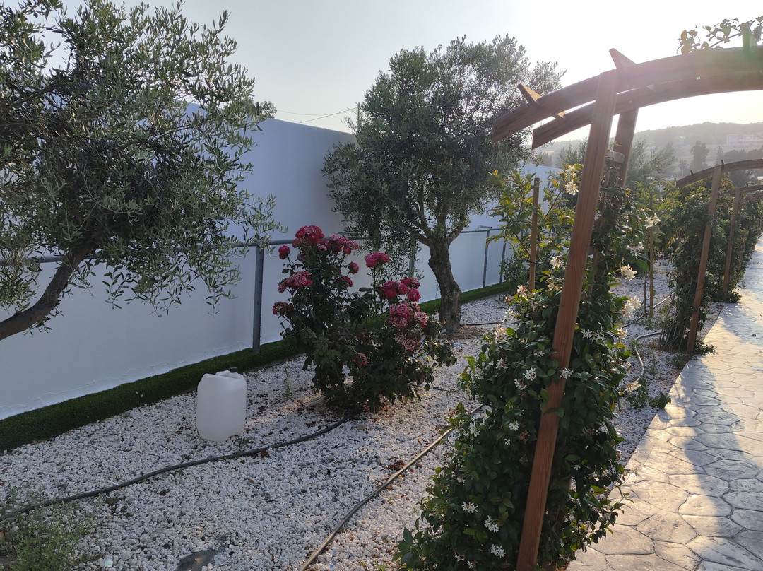 Pyrgos Aroma Herbal Park-Pyrgos必去景点