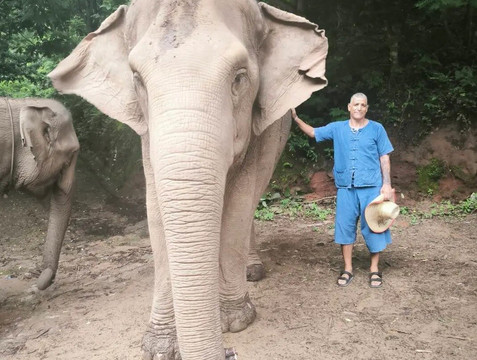 Smile Elephant Chiang Mai-夜登必去景点