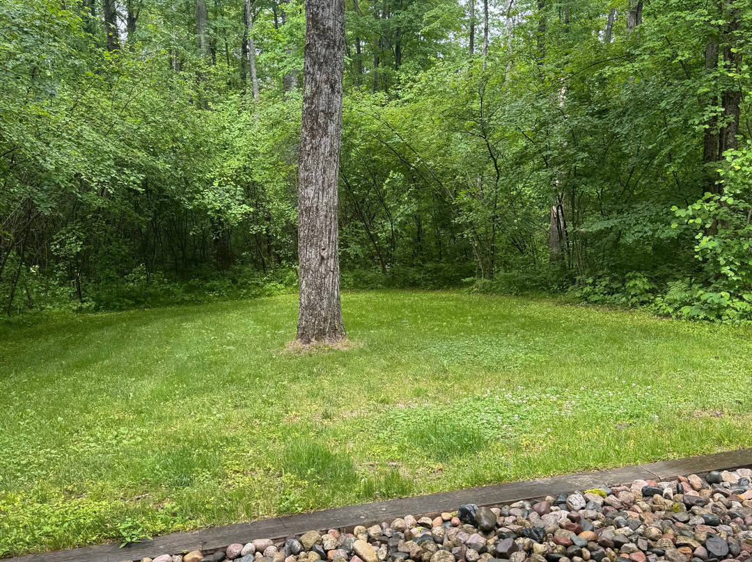 Pine River Paddlesports Center-Wellston必去景点