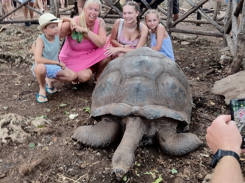 Way To Zanzibar-石头城必去景点