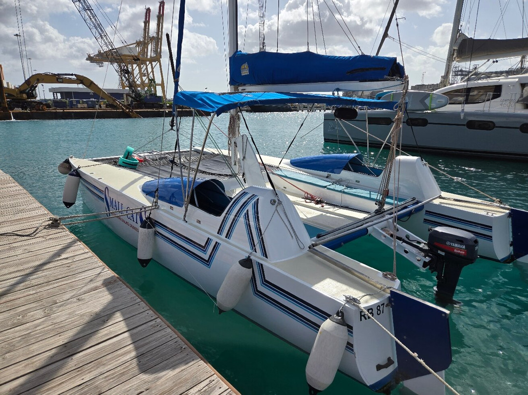 Small Cats Catamaran Sailing Cruises-布里奇顿必去景点