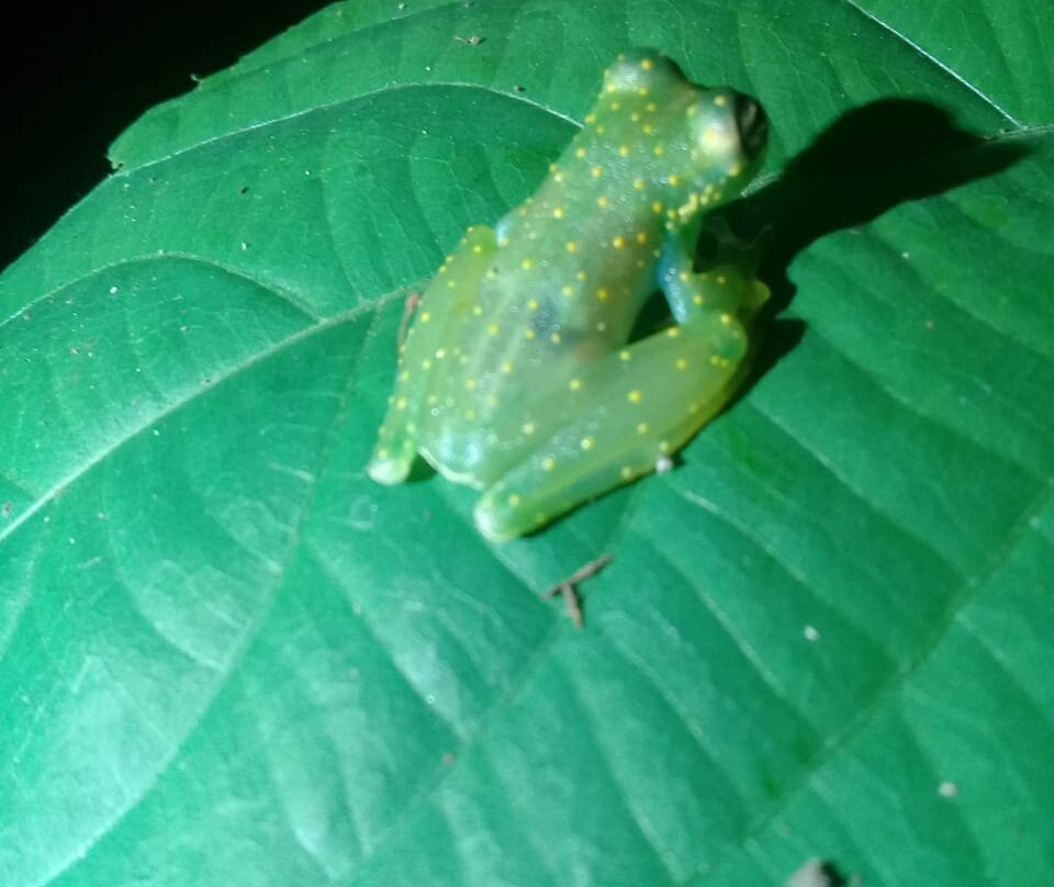 Nigth Tour Finca Don Juan-Agujitas de Drake必去景点