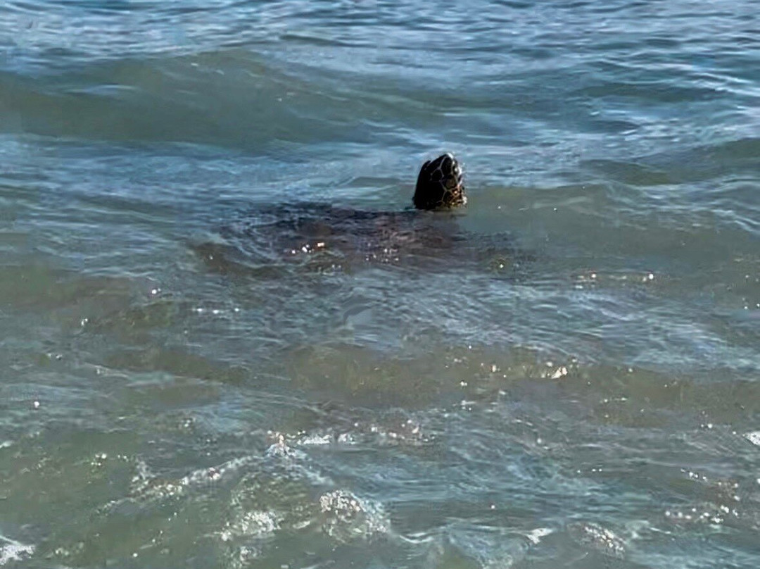 Oneuli Beach-维雷亚必去景点