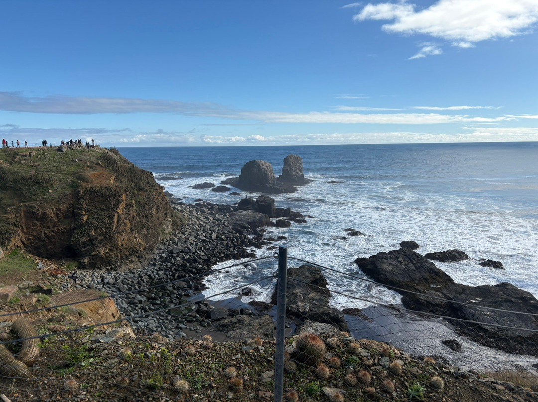 Punta De Lobos-皮钦勒姆必去景点