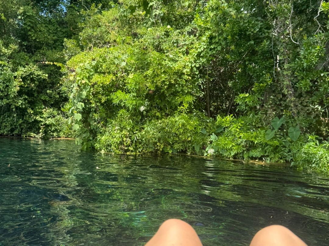 Weeki Wachee Springs State Park-Spring Hill必去景点