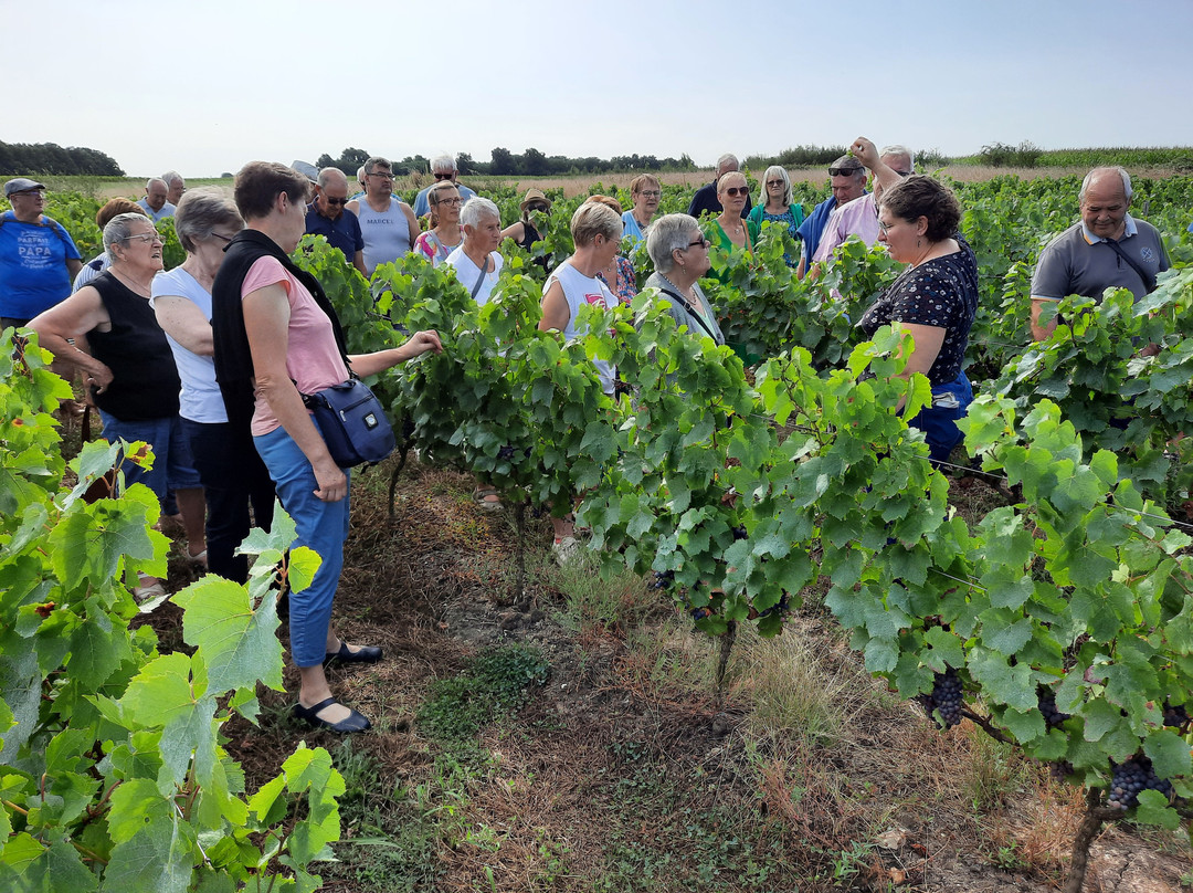 Vignobles Jourdain-Lye必去景点