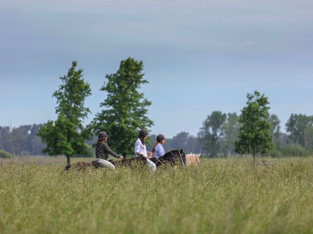 Estancia La Bandada主图
