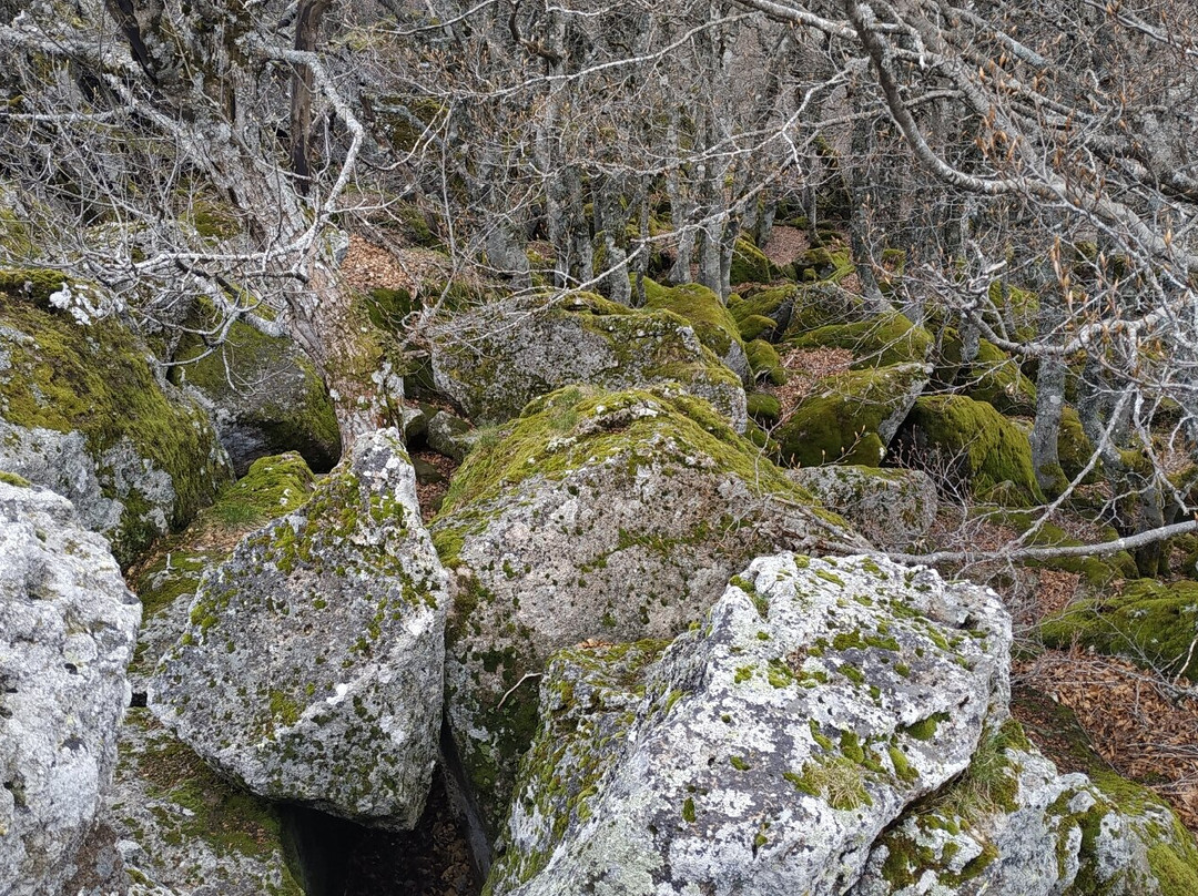 Monte Amiata-托斯卡纳必去景点