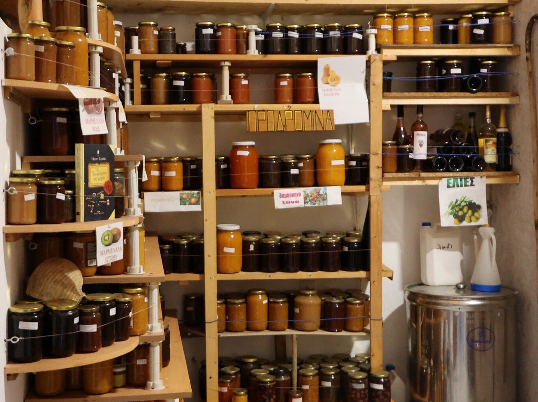 Pansion Prodromina主图