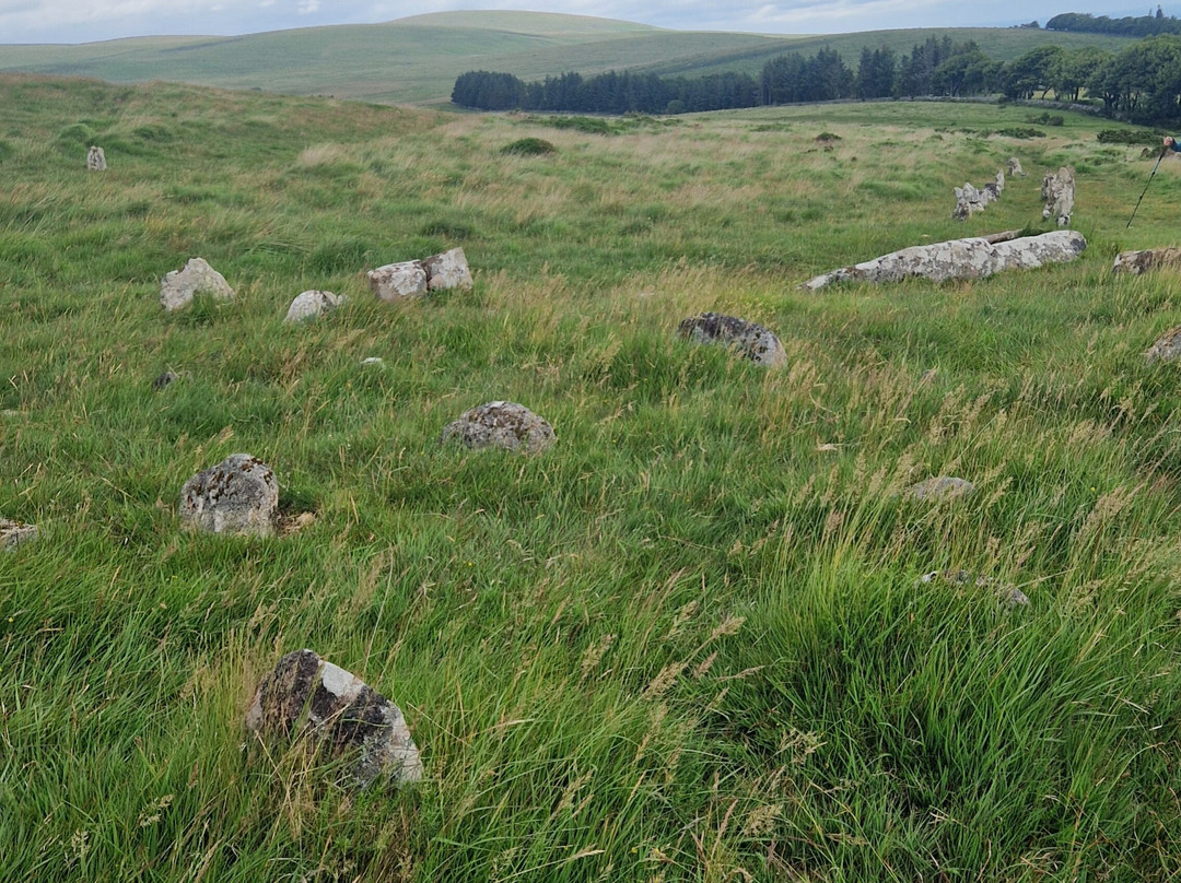 Dartmoor's Daughter-达特穆尔国家公园必去景点