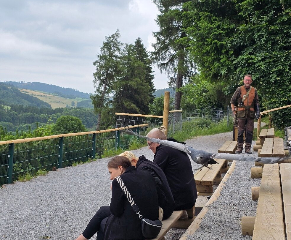 Wild- und Freizeitpark Willingen-Willingen必去景点