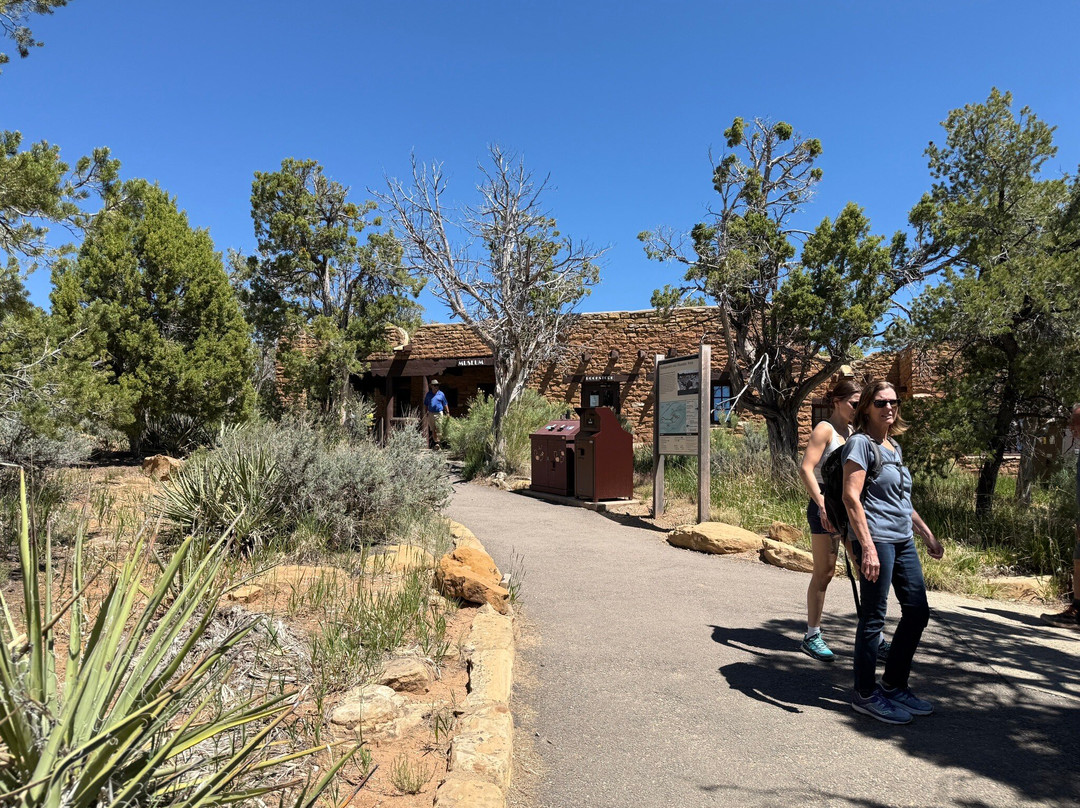 Spruce Tree House-梅萨维德国家公园必去景点