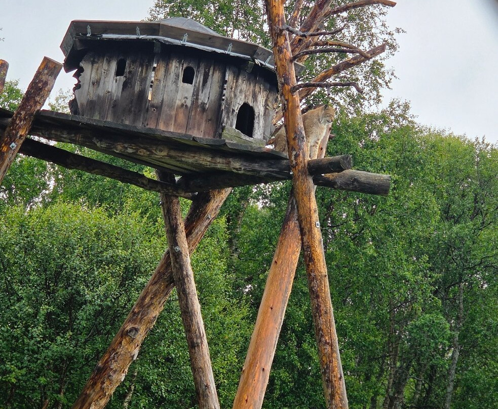Langedrag Nature Park-Nesbyen必去景点