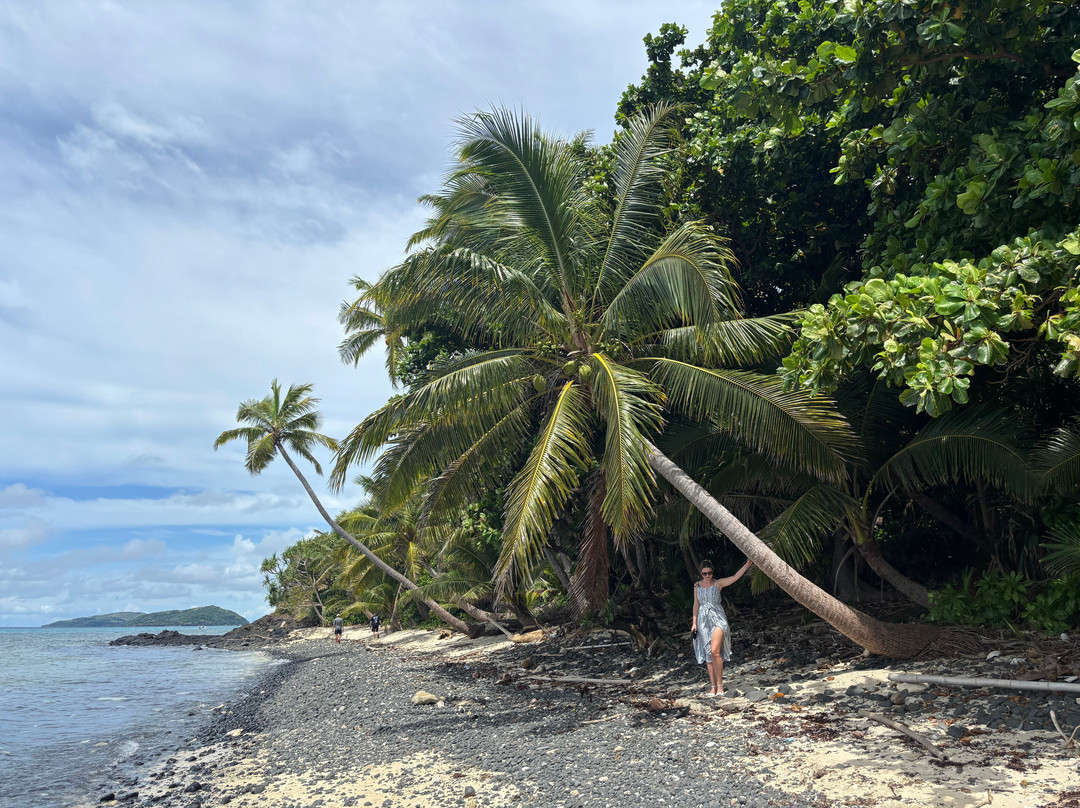 Dravuni Island-苏瓦必去景点