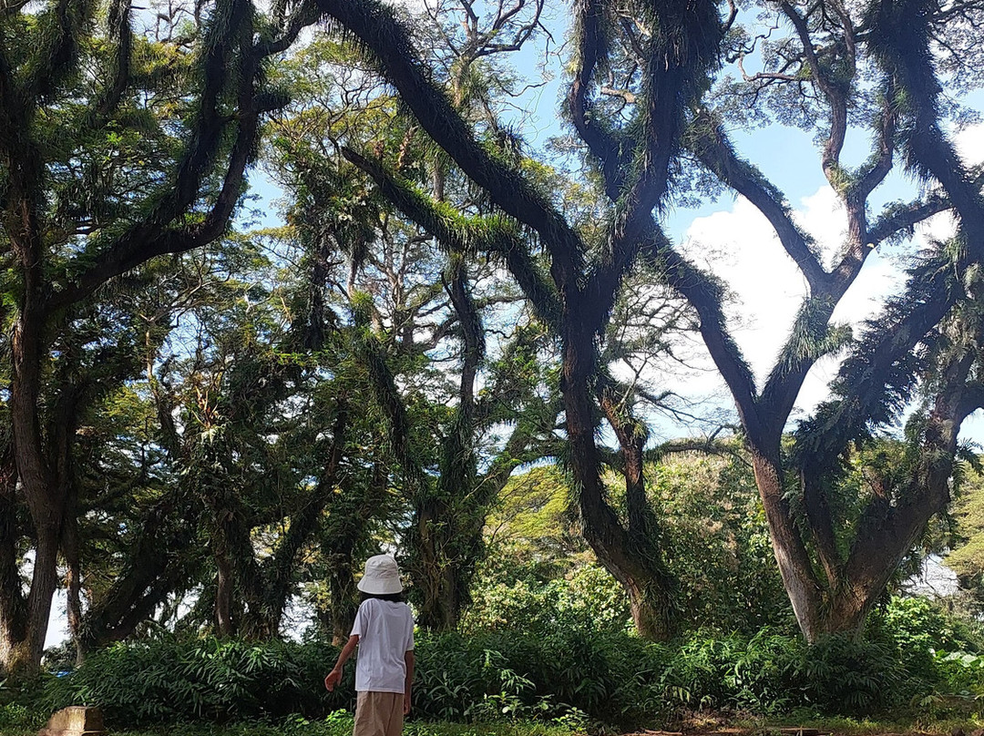 Yukbanyuwangi-巴纽旺宣必去景点