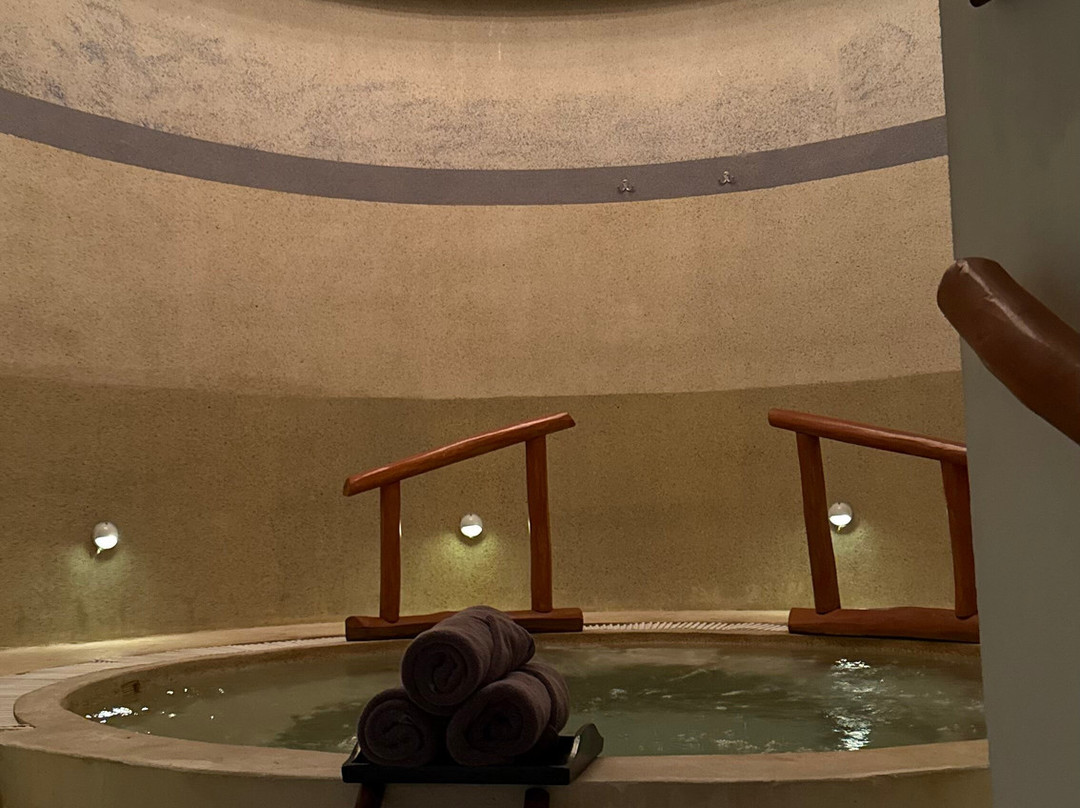 Revive Spa at Mahekal-普拉亚德尔卡曼必去景点