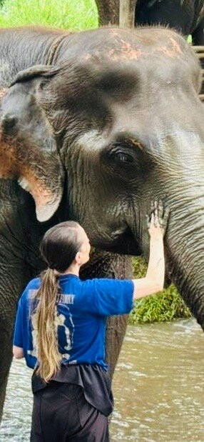Smart Elephants Family-清迈必去景点