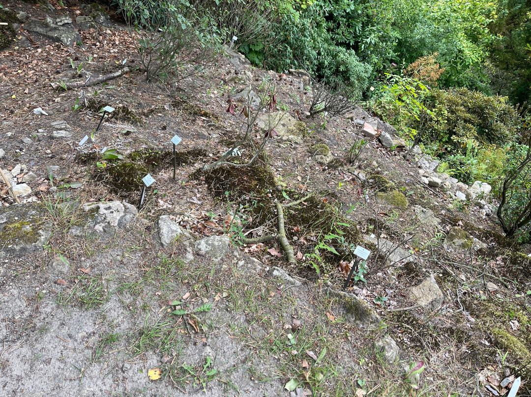Botanischer Garten-巴特尚道必去景点