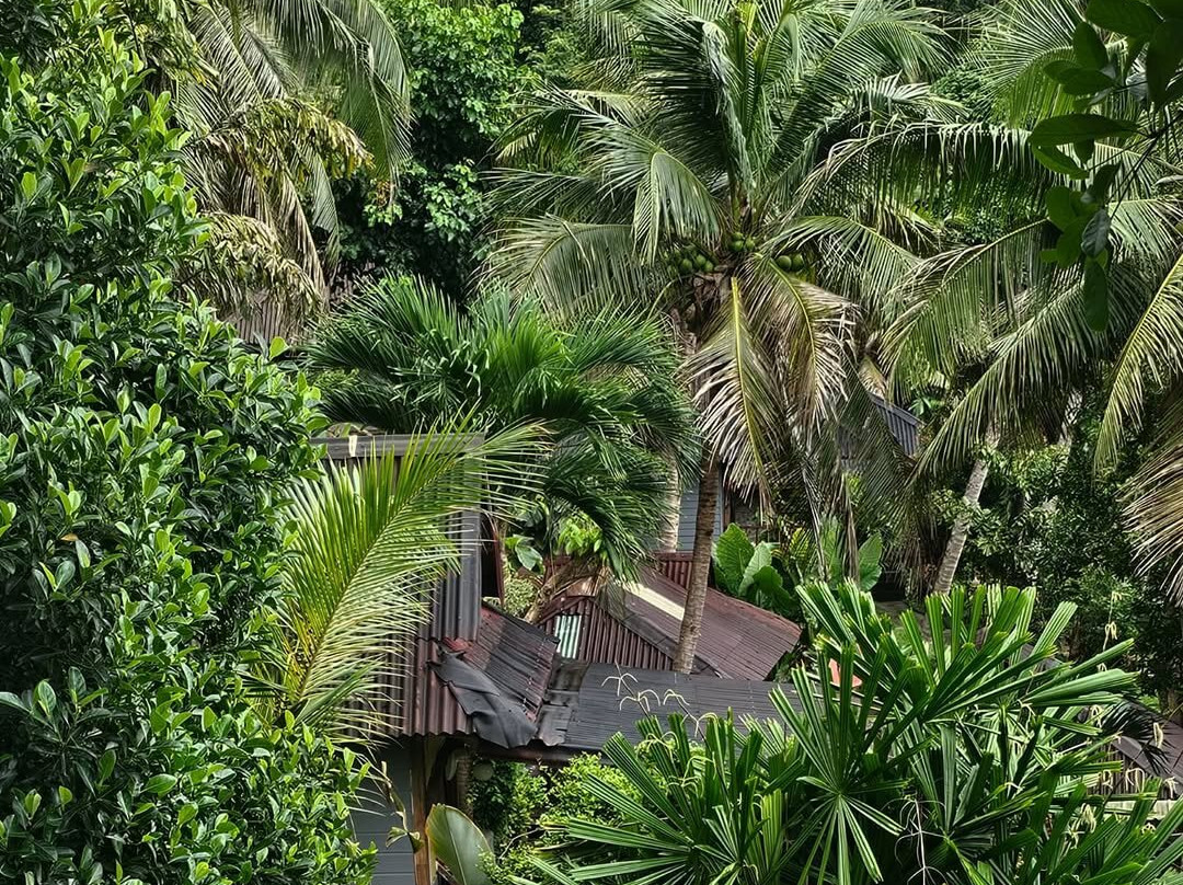 瑞尔威景观度假村主图