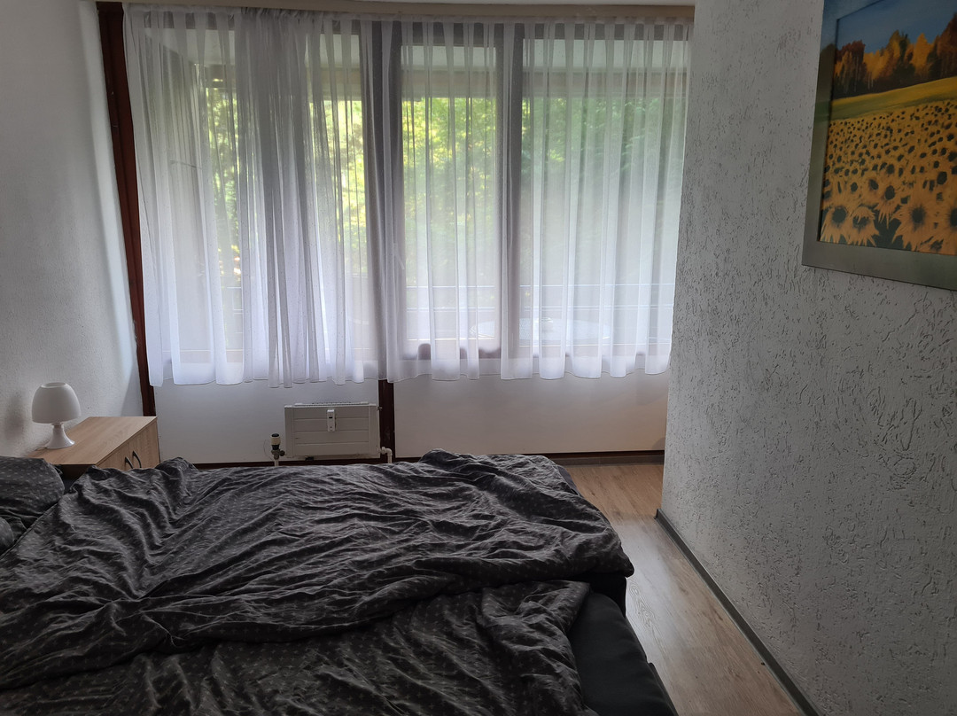 Ferienwohnung Adrion主图