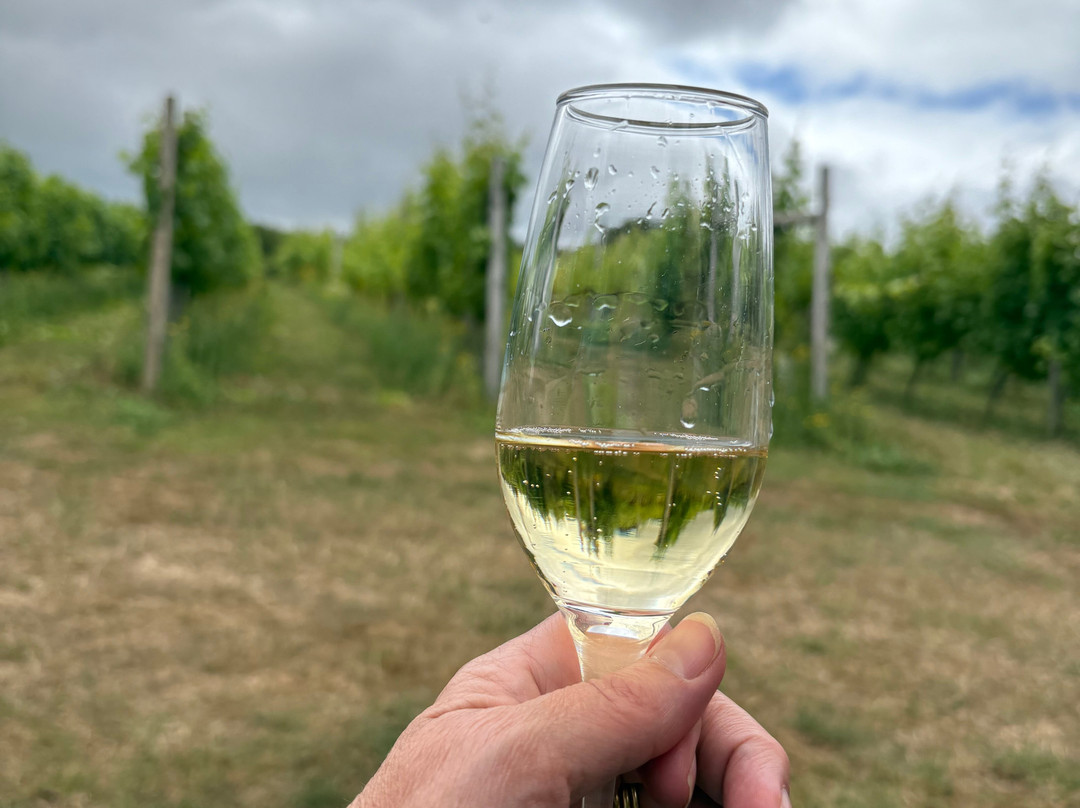 Huxbear Vineyard-Hennock必去景点