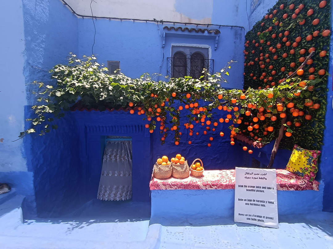 Morocco No Worries Tours-舍夫沙万必去景点