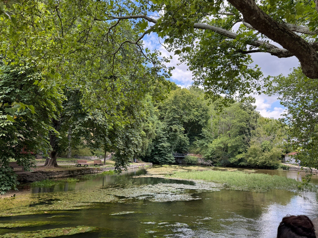 Aachquelle-Aach必去景点