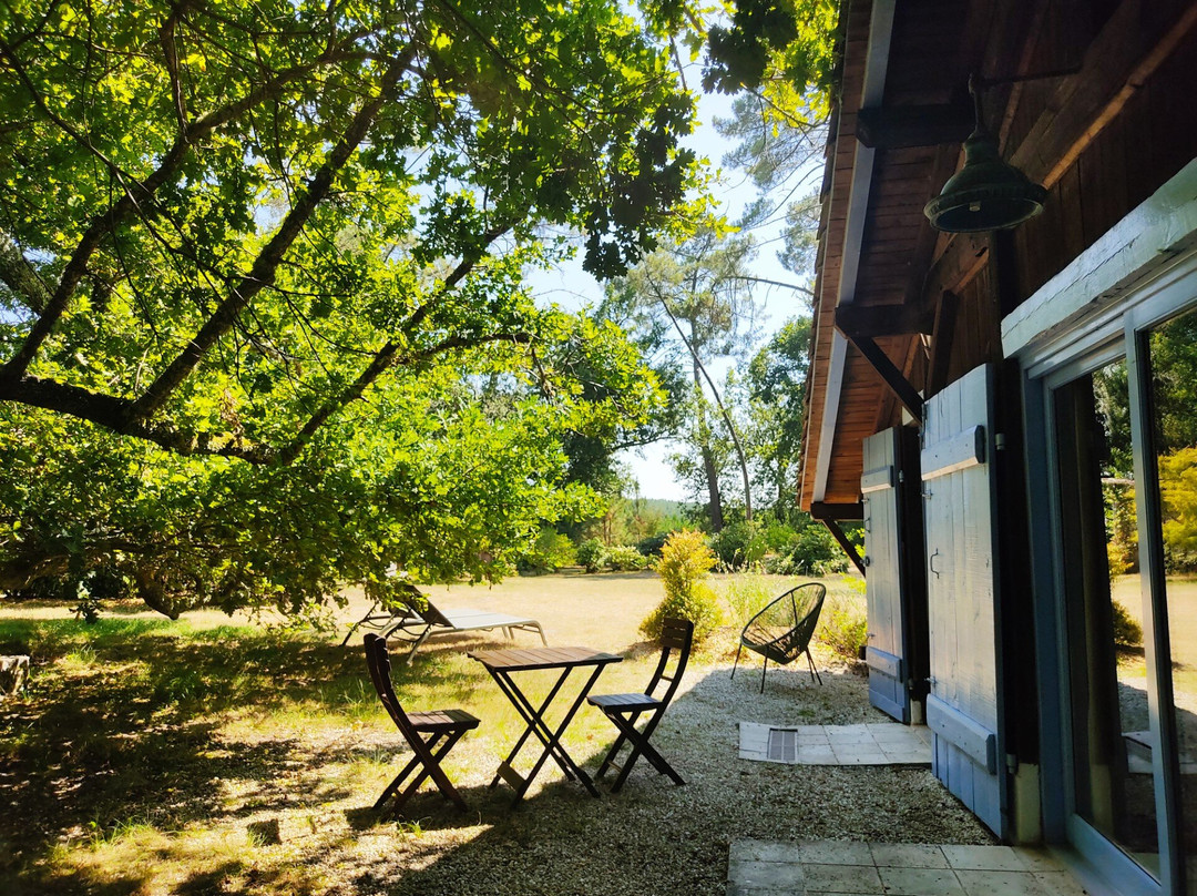 La Bergerie Saint Michel主图