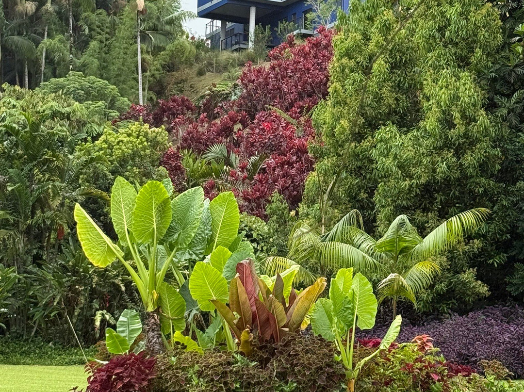 Hamakua Chocolate Farm-帕派科欧必去景点