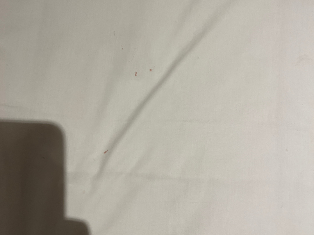 Midlands Saddle & Trout Resort主图